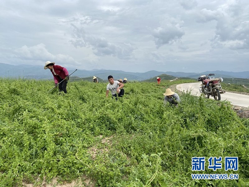 宕昌招聘网