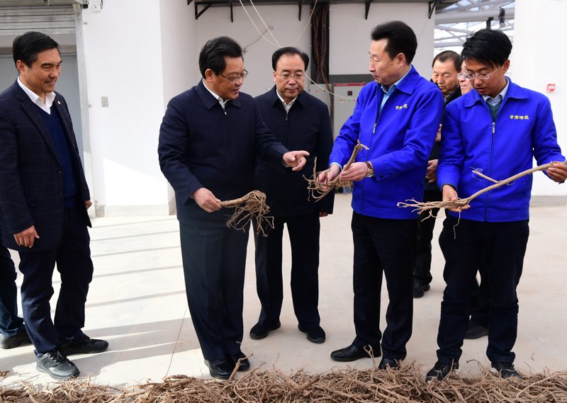 宕昌就业市场动态:招聘信息解读