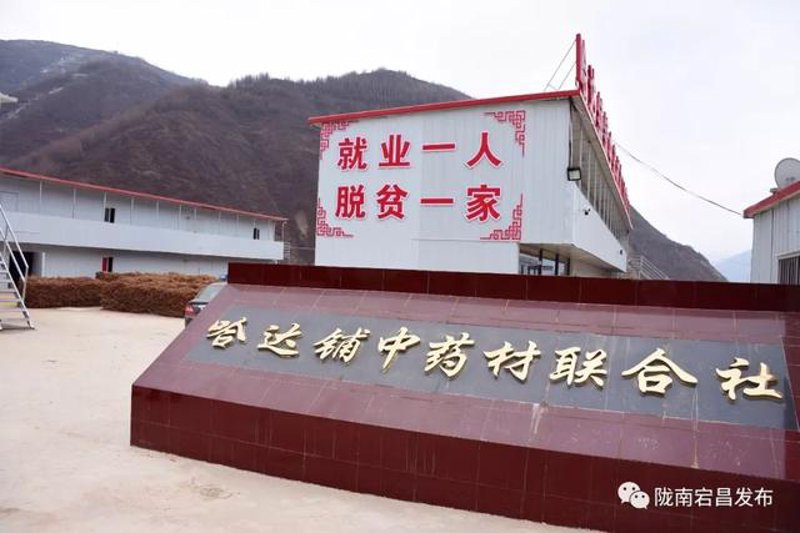 宕昌人才招聘网:开启职业生涯新篇章的钥匙